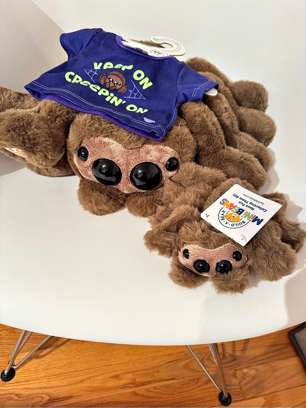 Build a Bear Jumping Spider, with mini bean Jumping Spider, and t- shirt